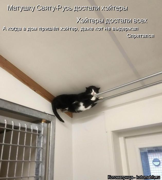 Котоматрица: Матушку Святу-Русь достали хэйтеры Хэйтеры достали всех А когда в дом пришёл хэйтер, даже кот не выдержал Спрятался