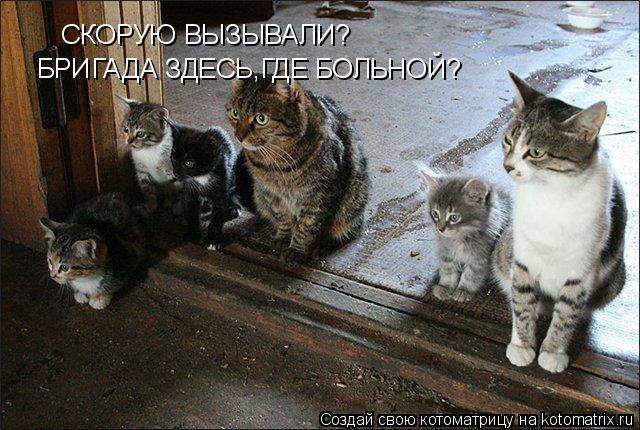 Котоматрица: СКОРУЮ ВЫЗЫВАЛИ?  БРИГАДА ЗДЕСЬ,ГДЕ БОЛЬНОЙ?
