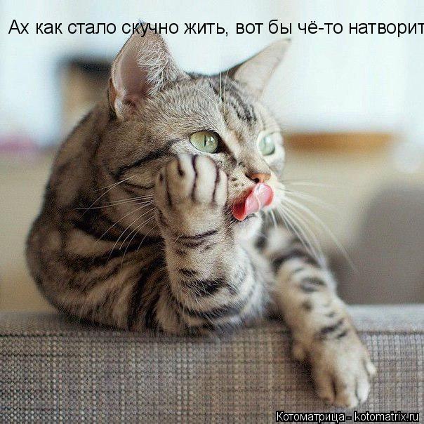 Смотреть Поздравить сотрудника программиста с днем программиста в стихах видео Смотреть Поздравить сотрудника программиста с днем программиста в стихах видео