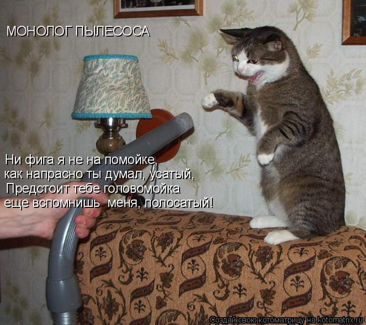Котоматрица: МОНОЛОГ ПЫЛЕСОСА  Ни фига я не на помойке,  Предстоит тебе головомойка как напрасно ты думал, усатый,  еще вспомнишь  меня, полосатый!