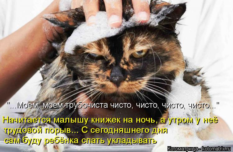 Котоматрица: Начитается малышу книжек на ночь, а утром у неё трудовой порыв... С сегодняшнего дня  сам буду ребёнка спать укладывать "...Моем, моем трубочис