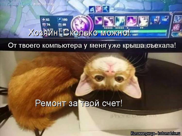 Котоматрица: Хозяин! Сколько можно! От твоего компьютера у меня уже крыша съехала! Ремонт за твой счет!