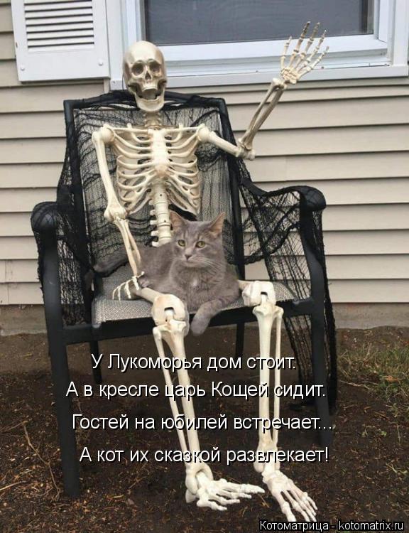 Котоматрица: А кот их сказкой развлекает! У Лукоморья дом стоит. А в кресле царь Кощей сидит. Гостей на юбилей встречает...