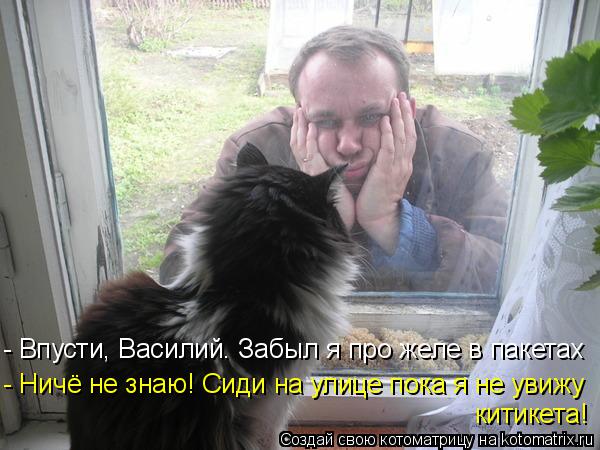 Котоматрица: - Впусти, Василий. Забыл я про желе в пакетах   - Ничё не знаю! Сиди на улице пока я не увижу китикета!