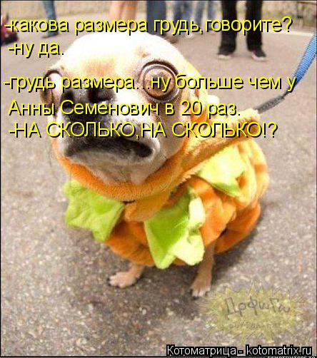 Котоматрица: -какова размера грудь,говорите? -ну да. -грудь размера...ну больше чем у  Анны Семенович в 20 раз. -НА СКОЛЬКО,НА СКОЛЬКО!?