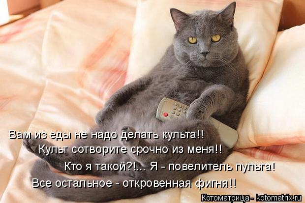 Котоматрица: Вам из еды не надо делать культа!! Культ сотворите срочно из меня!! Кто я такой?!... Я - повелитель пульта! Все остальное - откровенная фигня!!
