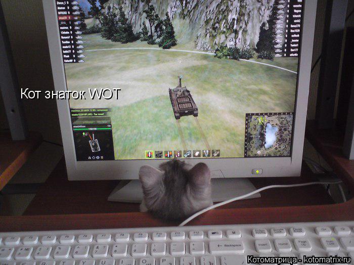 Котоматрица: Кот знаток WOT