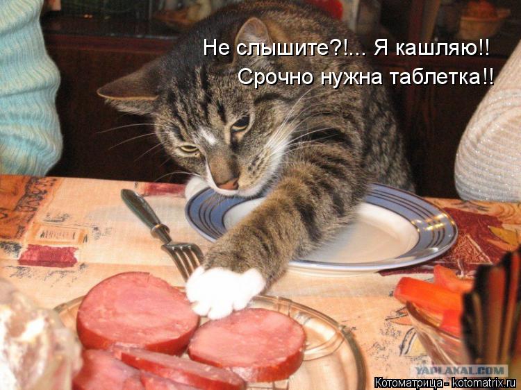 Котоматрица: Не слышите?!... Я кашляю!! Срочно нужна таблетка!!