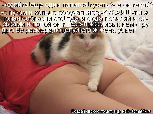 Котоматрица: -хозяйка!еще один пялится!кусать?- а он какой? -с пузом и кольцо обручальное!-КУСАЙ!!!-ты ж  голая!соблазни его!туда и сюда повиляй,и си- ськами,и