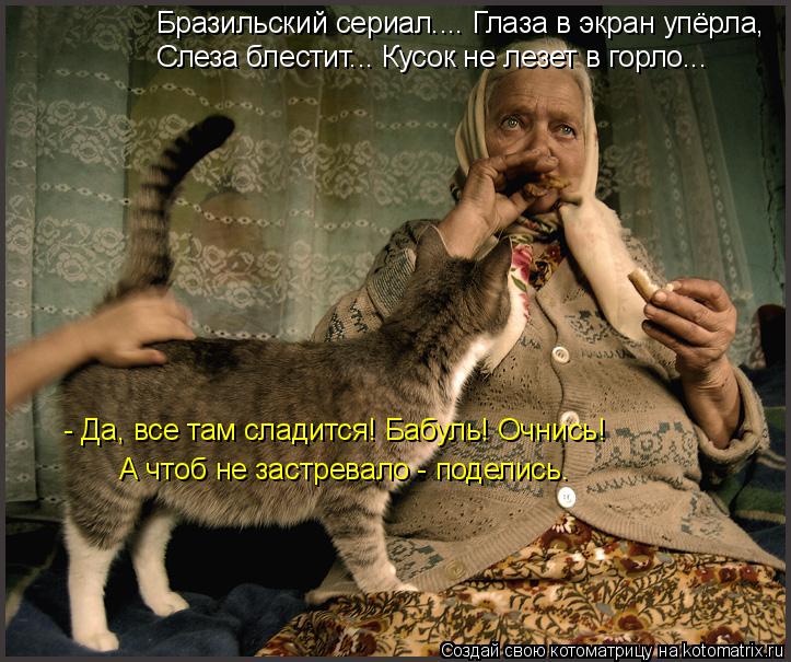 Котоматрица: Бразильский сериал.... Глаза в экран упёрла, Слеза блестит... Кусок не лезет в горло...  - Да, все там сладится! Бабуль! Очнись! А чтоб не застрева