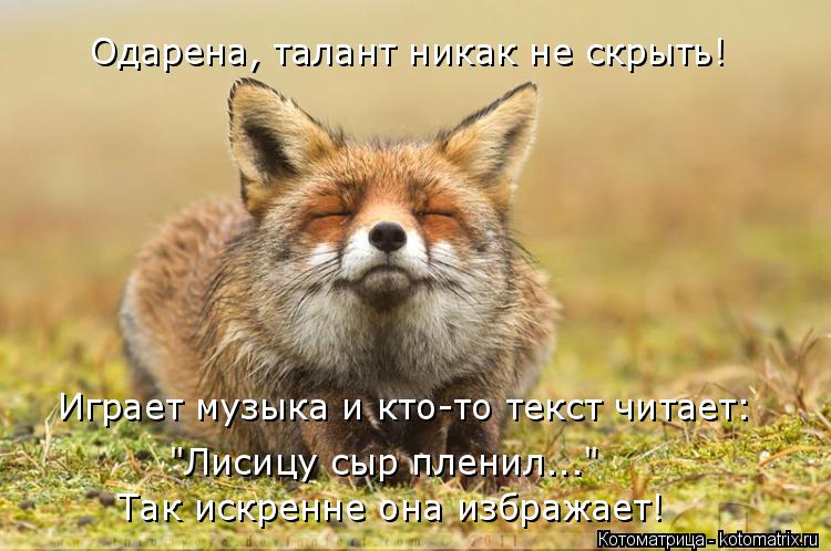 Котоматрица: Одарена, талант никак не скрыть! Играет музыка и кто-то текст читает: "Лисицу сыр пленил..."  Так искренне она избражает!