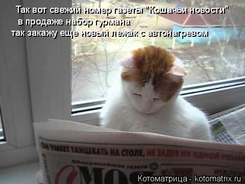 Котоматрица: Так вот свежий номер газеты "Кошачьи новости" в продаже набор гурмана так закажу еще новый лежак с автонагревом