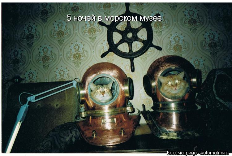 Котоматрица: 5 ночей в морском музее