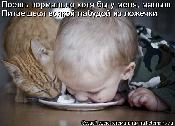 Котоматрица: Поешь нормально хотя бы у меня, малыш Питаешься всякой лабудой из ложечки