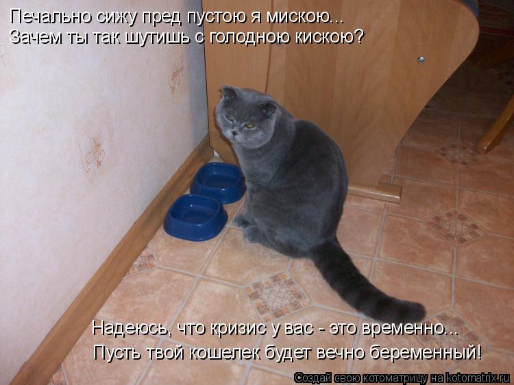 Котоматрица: Пусть твой кошелек будет вечно беременный! Надеюсь, что кризис у вас - это временно... Печально сижу пред пустою я мискою... Зачем ты так шутиш