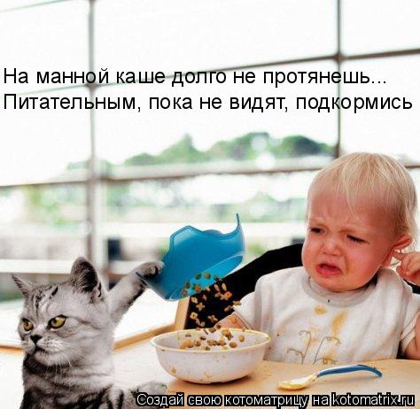 Котоматрица: На манной каше долго не протянешь... Питательным, пока не видят, подкормись
