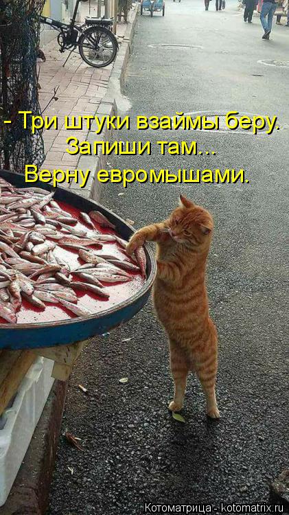 Котоматрица: - Три штуки взаймы беру. Запиши там... Верну евромышами.
