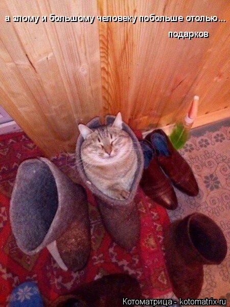 Котоматрица: а злому и большому человеку побольше отолью... подарков