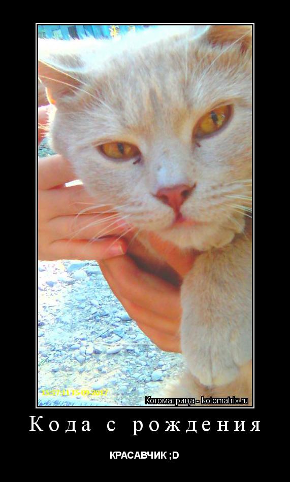 Котоматрица: Кода с рождения  КРАСАВЧИК ;D