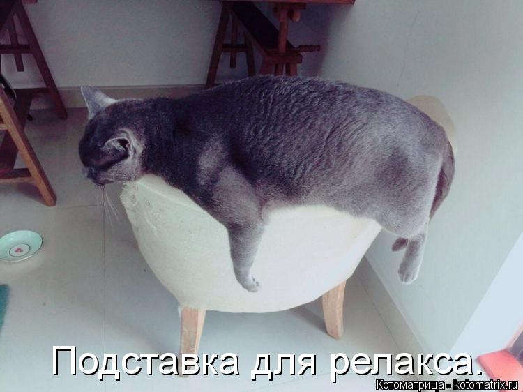 Подставка для релакса.... Котоматрица: Подставка для релакса.