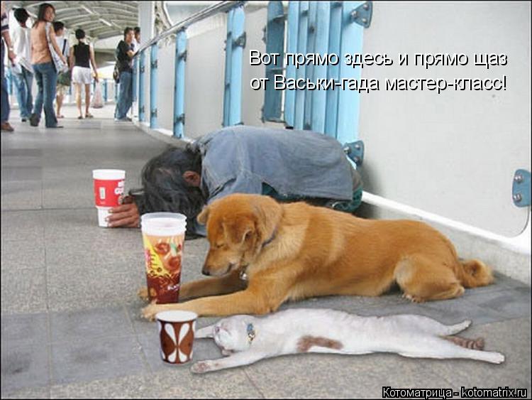 Котоматрица: Вот прямо здесь и прямо щаз от Васьки-гада мастер-класс!