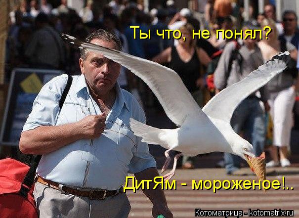 Котоматрица: Ты что, не понял? ДитЯм - мороженое!..