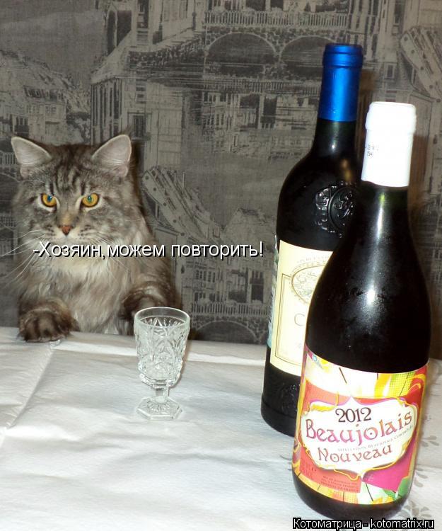 Котоматрица: -Хозяин,можем повторить!