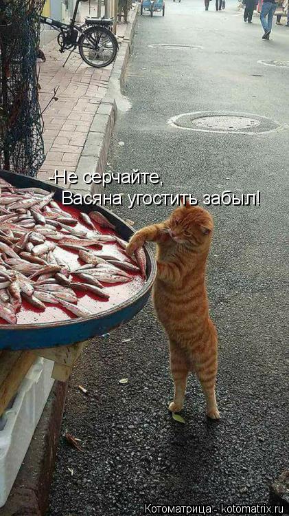 Котоматрица: -Не серчайте, Васяна угостить забыл!