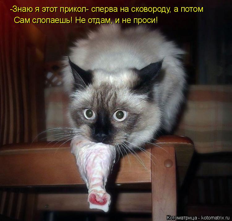 Котоматрица: -Знаю я этот прикол- сперва на сковороду, а потом Сам слопаешь! Не отдам, и не проси!