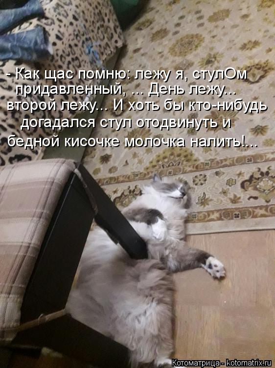 - Как щас помню: лежу я, стулОм придавленный, ... День лежу... второй лежу... И хоть бы кто-нибудь до... Котоматрица: - Как щас помню: лежу я, стулОм придавленный, ... День лежу... второй лежу... И хоть бы кто-нибудь догадался стул отодвинуть и бедной кисочке мол