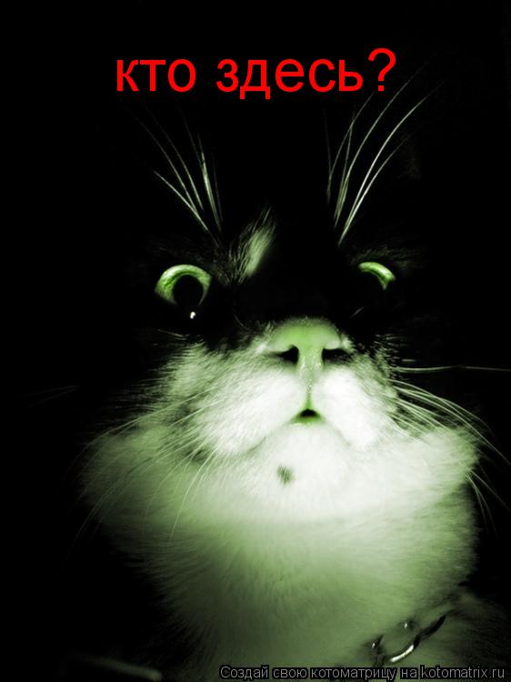Котоматрица: кто здесь?