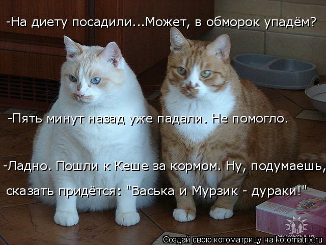 Котоматрица: -На диету посадили...Может, в обморок упадём? -Пять минут назад уже падали. Не помогло. -Ладно. Пошли к Кеше за кормом. Ну, подумаешь,  сказать пр