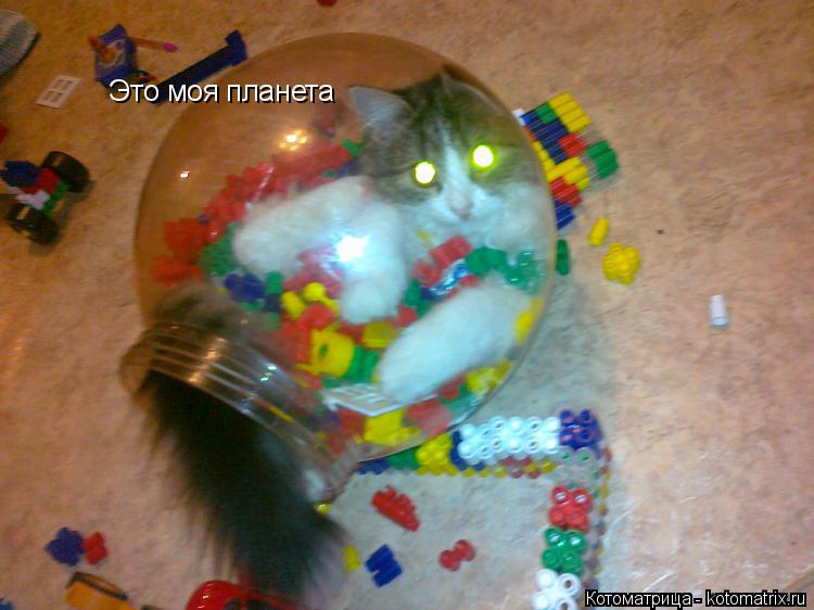 Котоматрица: Это моя планета