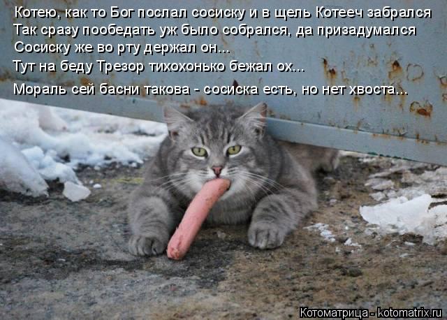 Котоматрица: Котею, как то Бог послал сосиску и в щель Котееч забрался Так сразу пообедать уж было собрался, да призадумался Сосиску же во рту держал он...