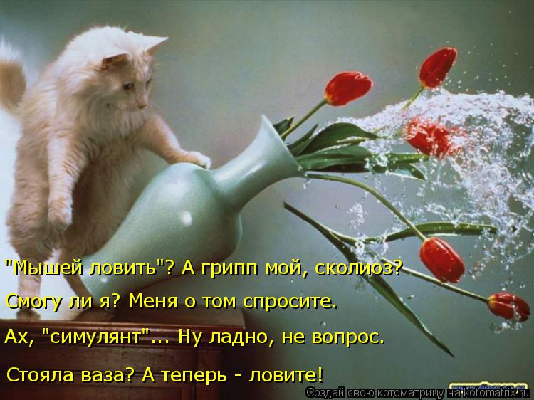 Котоматрица: Стояла ваза? А теперь - ловите! "Мышей ловить"? А грипп мой, сколиоз? Смогу ли я? Меня о том спросите. Ах, "симулянт"... Ну ладно, не вопрос.