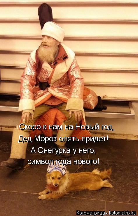Котоматрица: Скоро к нам на Новый год, Дед Мороз опять придет! А Снегурка у него, символ года нового!