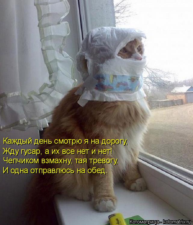 Каждый день смотрю я на дорогу, Жду гусар, а их все нет и нет! Чепчиком взмахну, тая тревогу, И одна ... Котоматрица: Каждый день смотрю я на дорогу, Жду гусар, а их все нет и нет! Чепчиком взмахну, тая тревогу, И одна отправлюсь на обед.