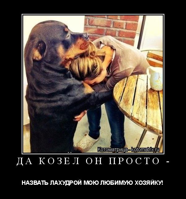 Котоматрица: ДА КОЗЕЛ ОН ПРОСТО -  НАЗВАТЬ ЛАХУДРОЙ МОЮ ЛЮБИМУЮ ХОЗЯЙКУ!