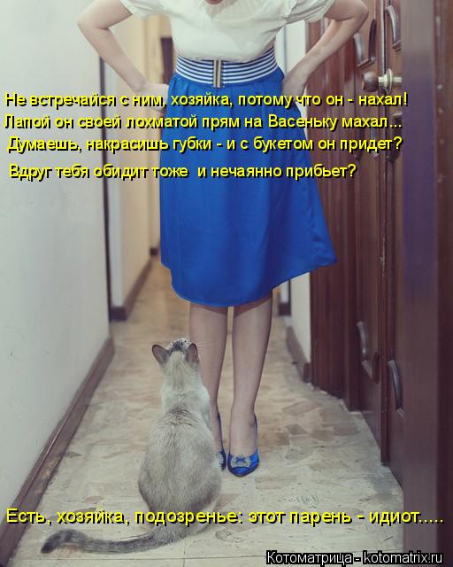 Котоматрица: Не встречайся с ним, хозяйка, потому что он - нахал! Лапой он своей лохматой прям на Васеньку махал... Думаешь, накрасишь губки - и с букетом он 