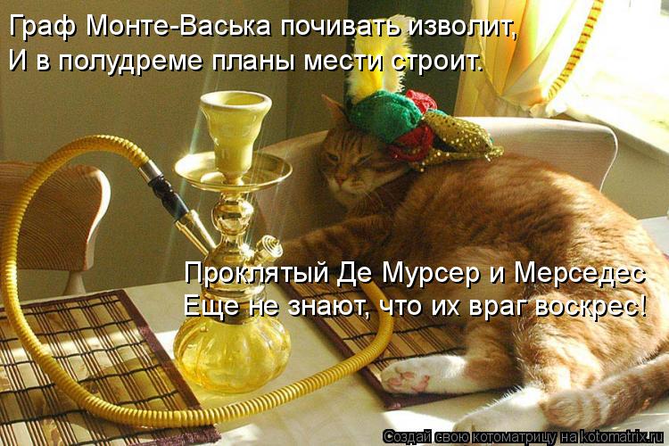 Котоматрица: Граф Монте-Васька почивать изволит, И в полудреме планы мести строит. Проклятый Де Мурсер и Мерседес Еще не знают, что их враг воскрес!