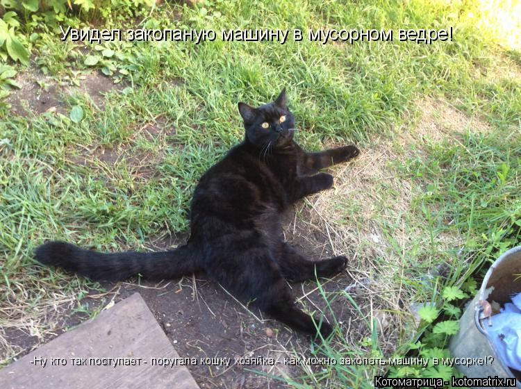 Котоматрица: Увидел закопаную машину в мусорном ведре!  -Ну кто так поступает - поругала кошку хозяйка - как можно закопать машину в мусорке!?