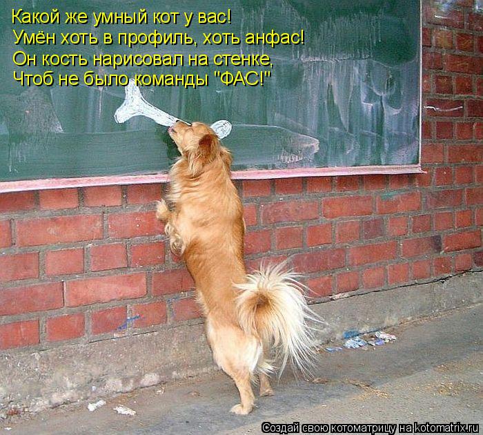 Котоматрица: Какой же умный кот у вас! Умён хоть в профиль, хоть анфас! Он кость нарисовал на стенке,  Чтоб не было команды "ФАС!"