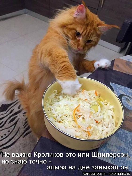 Котоматрица: Не важно Кроликов это или Шниперсон, но знаю точно -  алмаз на дне заныкал он