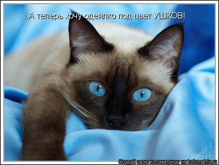 Котоматрица: ...А теперь хочу одеялко под цвет УШКОВ!