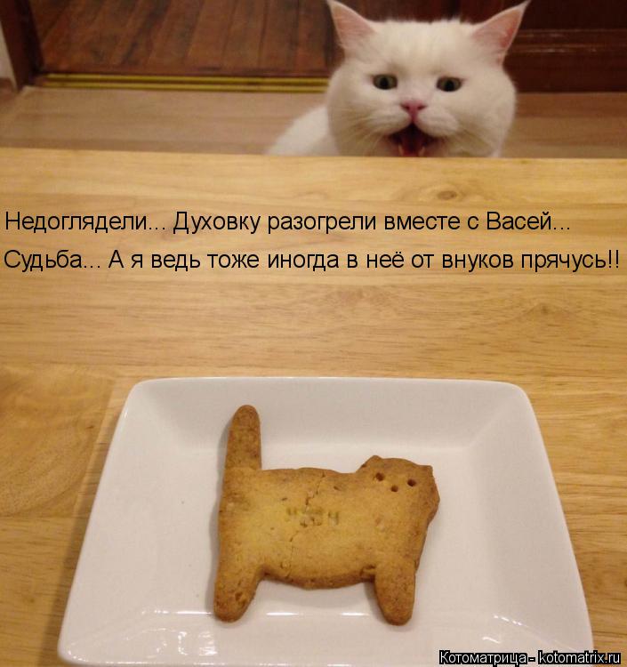 Котоматрица: Недоглядели... Духовку разогрели вместе с Васей... Судьба... А я ведь тоже иногда в неё от внуков прячусь!!