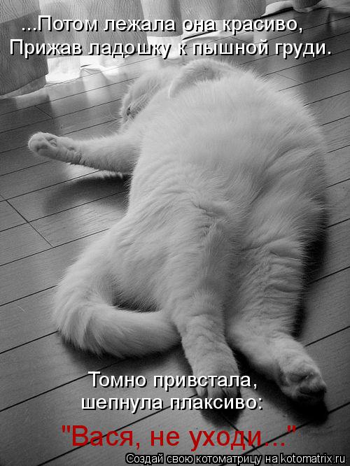 Котоматрица: ...Потом лежала она красиво, Прижав ладошку к пышной груди. Томно привстала,  шепнула плаксиво: "Вася, не уходи..."