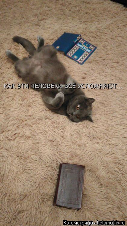 Котоматрица: КАК ЭТИ ЧЕЛОВЕКИ ВСЁ УСЛОЖНЯЮТ... у нас так: что хорошо - то надо делать. что плохо - не надо)))
