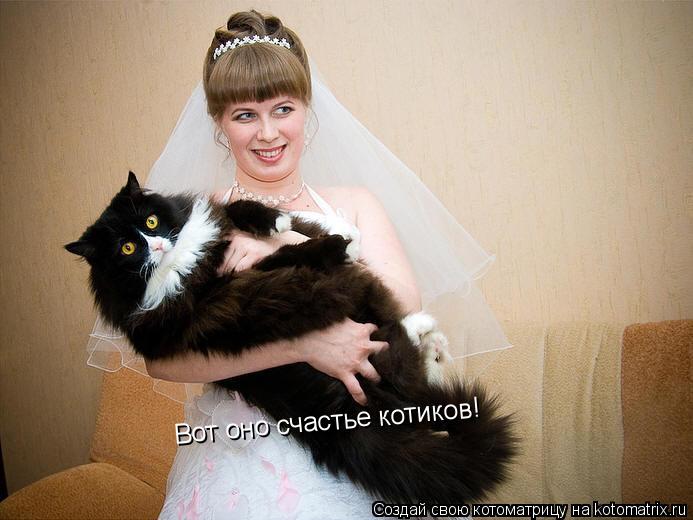 Котоматрица: Вот оно счастье котиков!