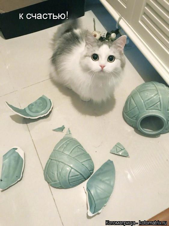 Котоматрица: к счастью!
