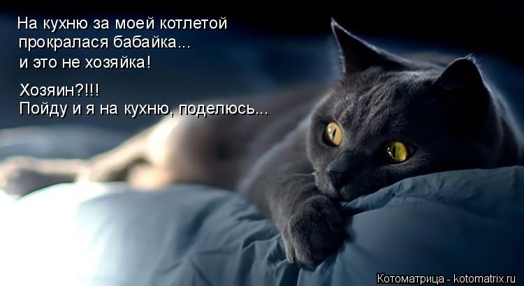 Котоматрица: На кухню за моей котлетой прокралася бабайка... и это не хозяйка! Хозяин?!!! Пойду и я на кухню, поделюсь...